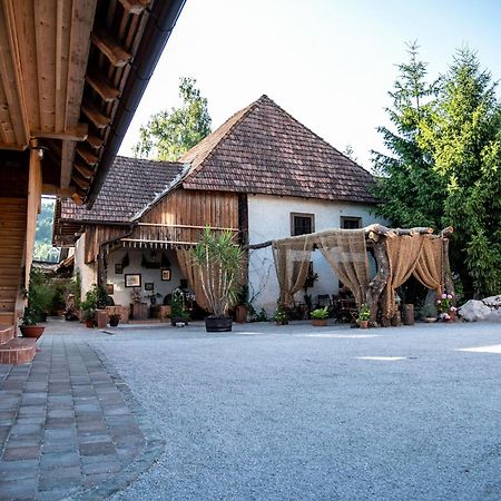 Resort Hisa Ida - Apartments With Hot Tub And Sauna Ivancna Gorica Exterior foto
